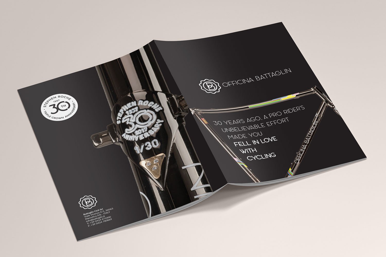 Brochure Battaglin Roche