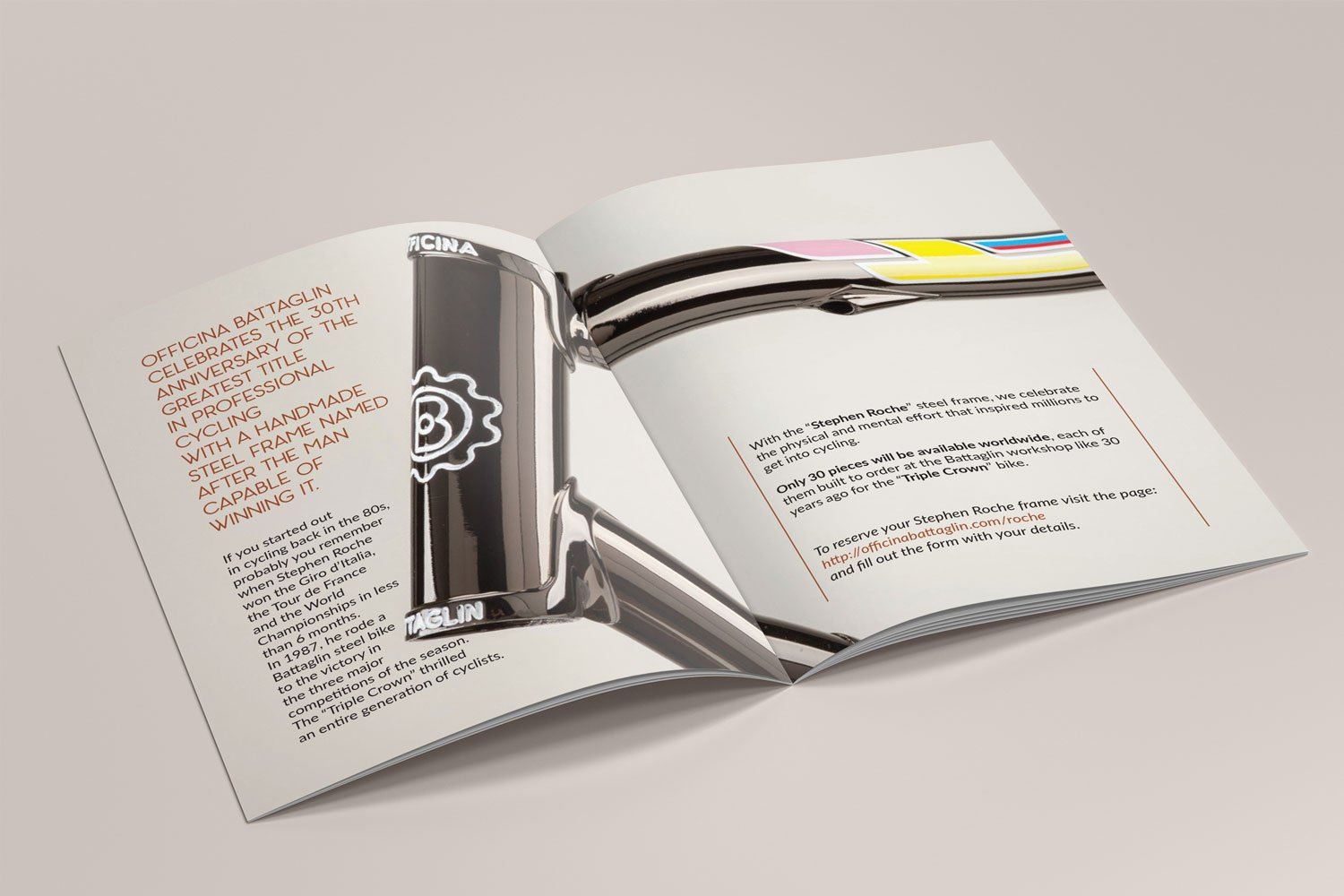 Brochure Battaglin Roche